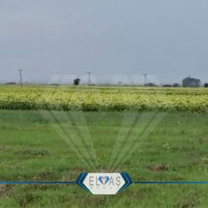 استثمار ارض زراعية في تركيا