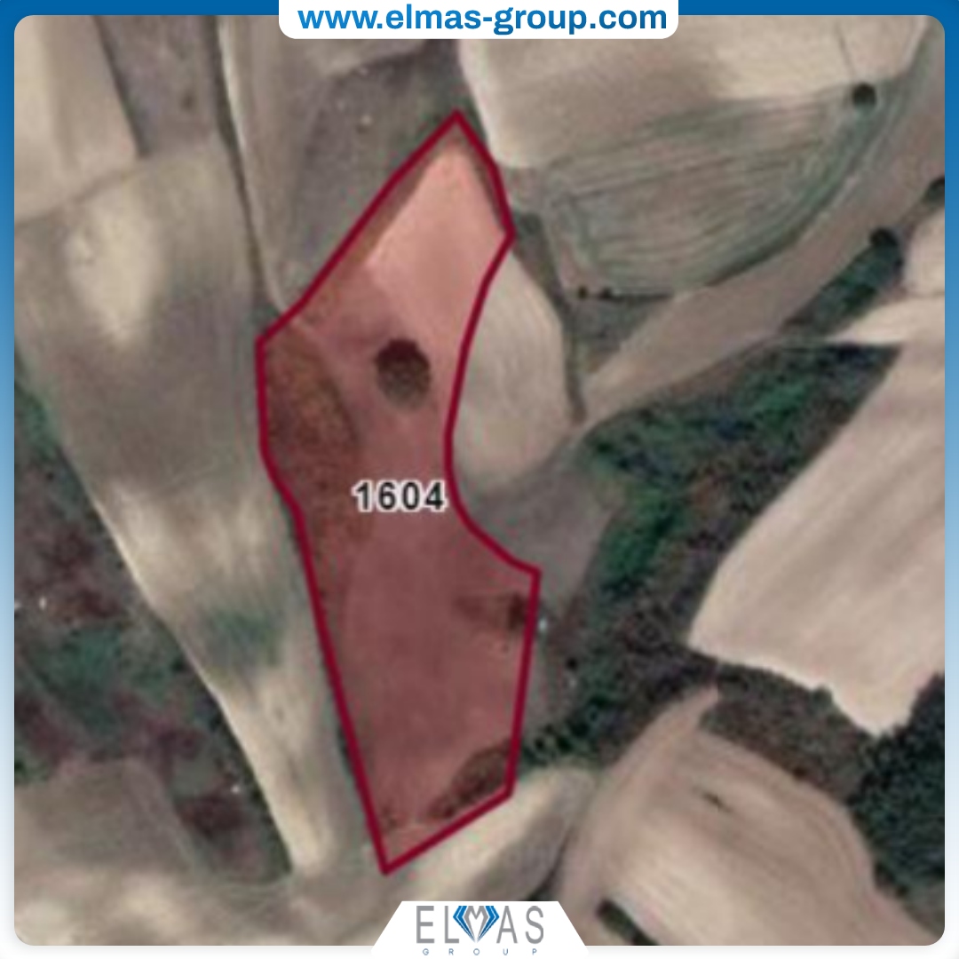 Land for Sale Elmas Group