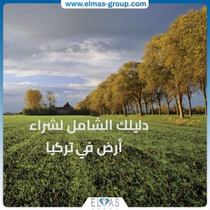 الدليل الشامل لشراء أرض في تركيا