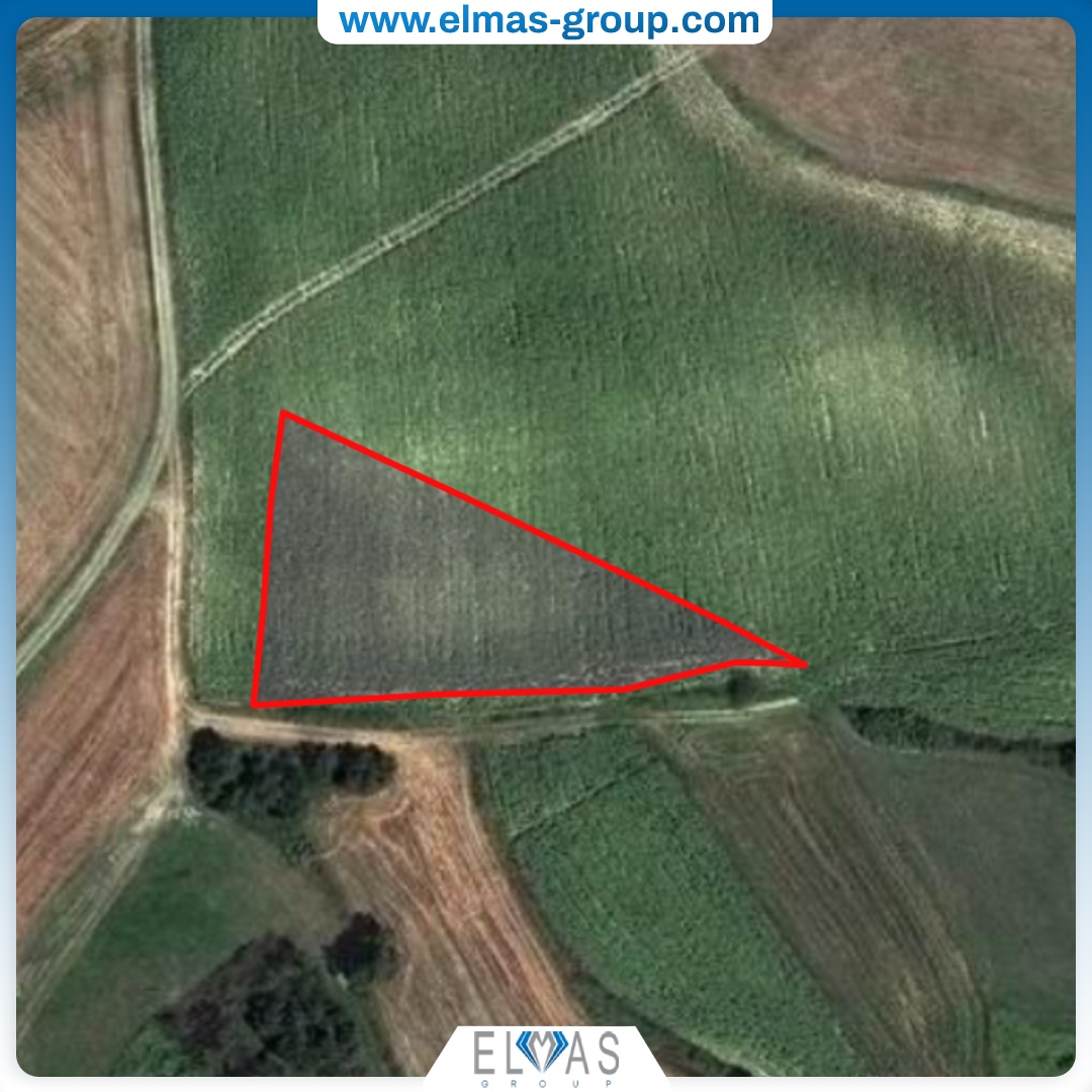 Land for Sale Elmas Group