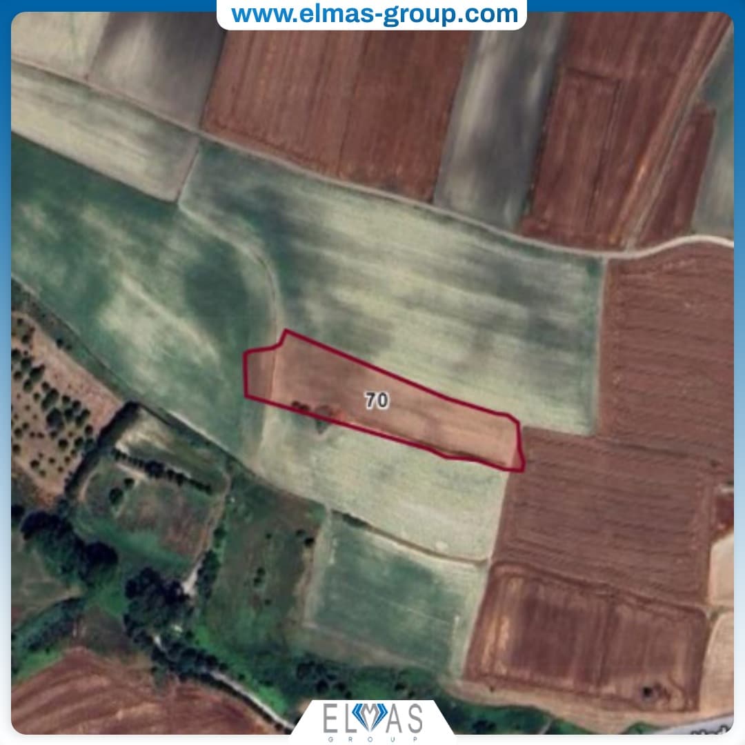 Land for Sale Elmas Group